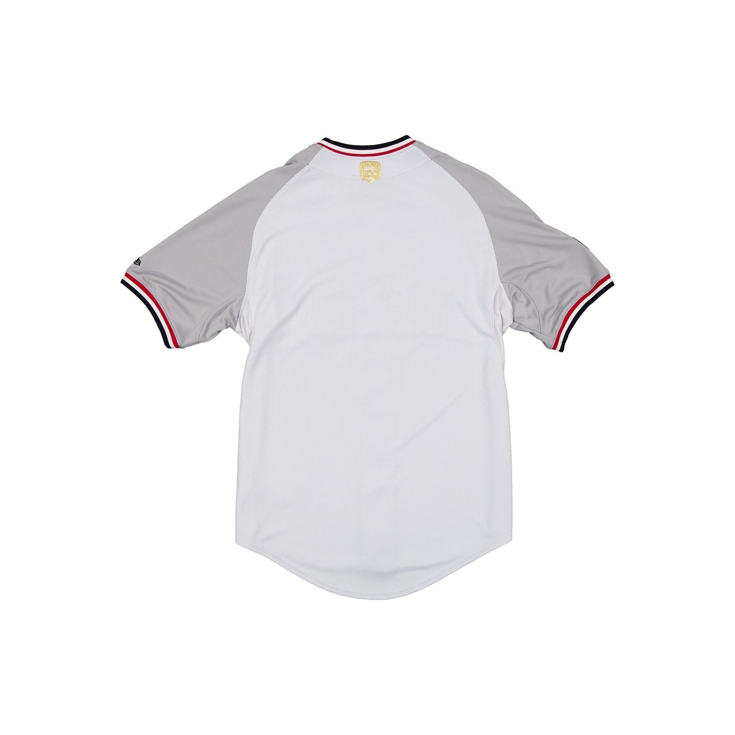 Tecolotes de los Dos Laredos LMB 100th Anniversary Alt Jersey