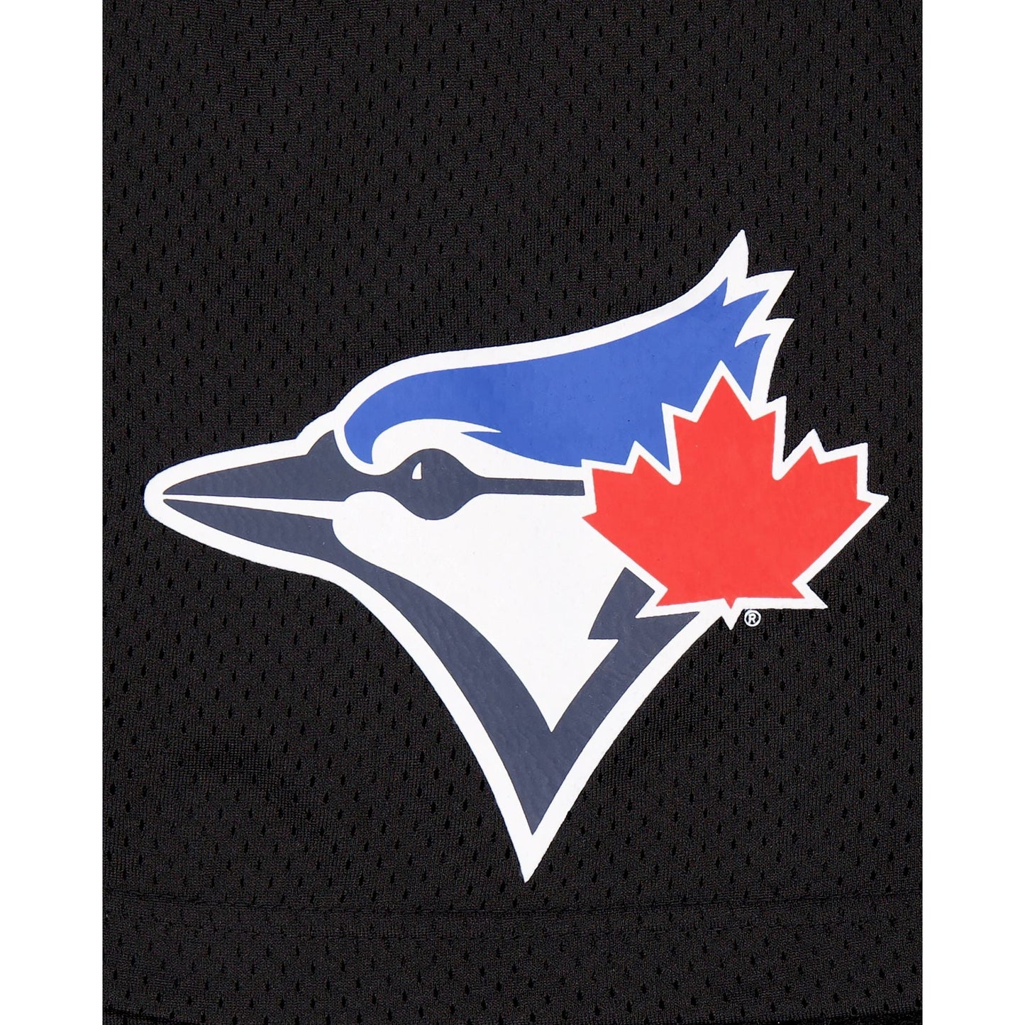 Toronto Blue Jays Mesh Shorts