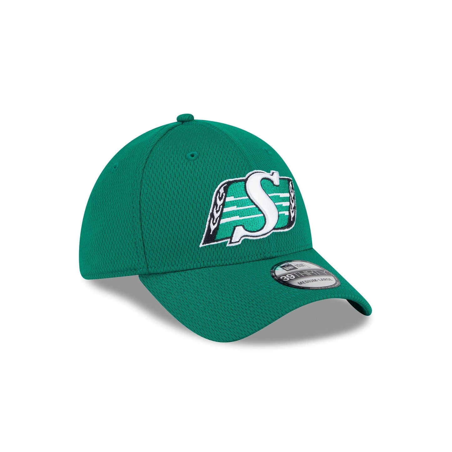 Saskatchewan Roughriders Rear Wordmark 39THIRTY Stretch Fit Hat