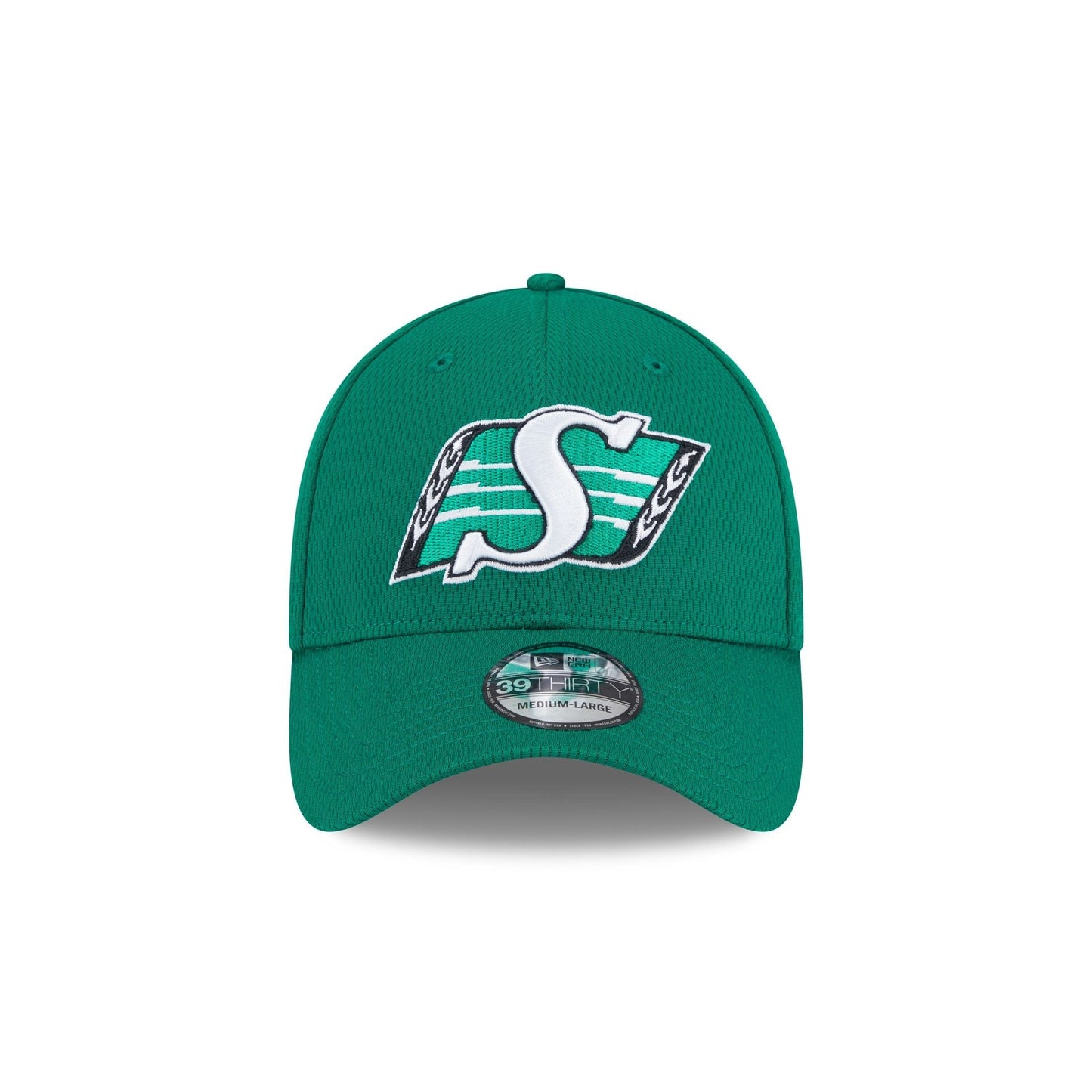 Saskatchewan Roughriders Rear Wordmark 39THIRTY Stretch Fit Hat