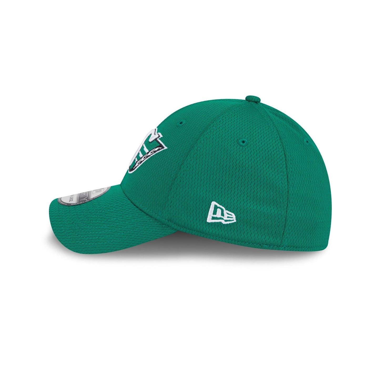 Saskatchewan Roughriders Rear Wordmark 39THIRTY Stretch Fit Hat