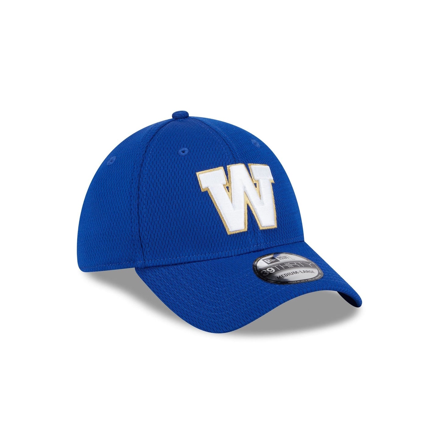 Winnipeg Blue Bombers Rear Wordmark 39THIRTY Stretch Fit Hat