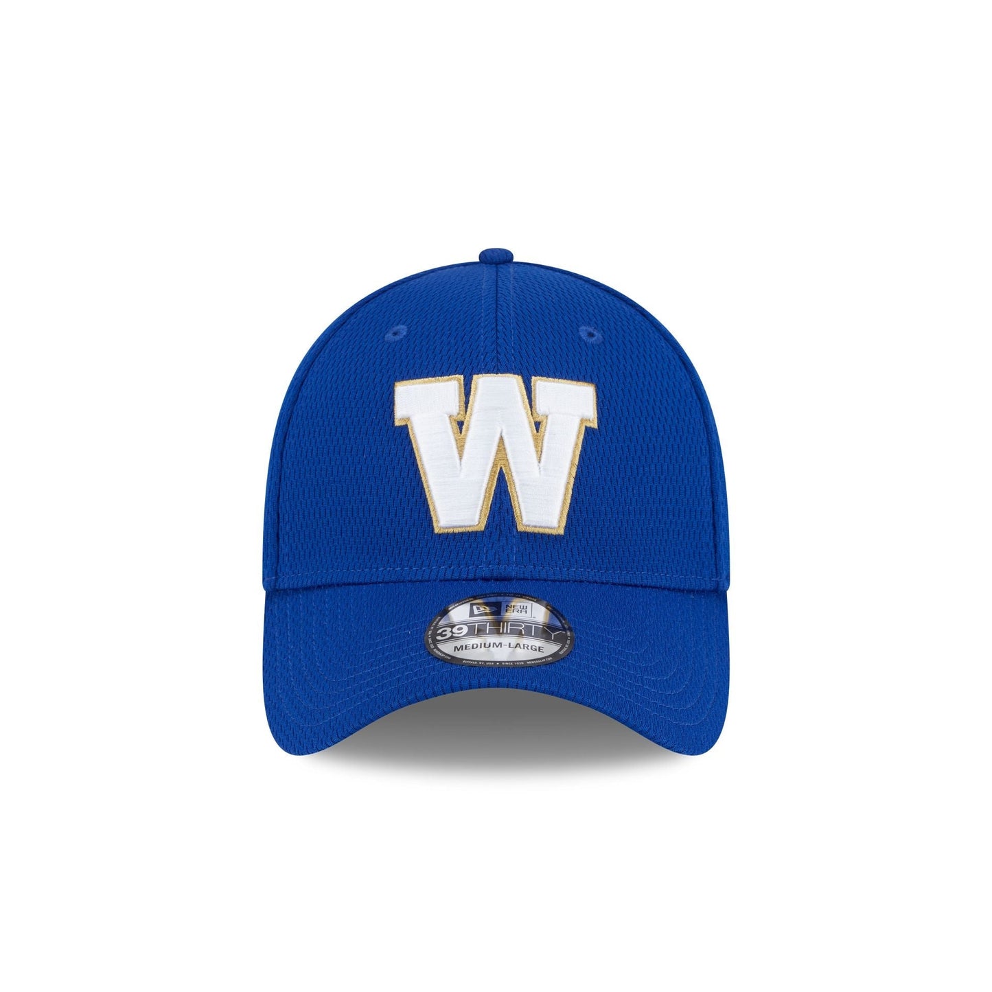 Winnipeg Blue Bombers Rear Wordmark 39THIRTY Stretch Fit Hat