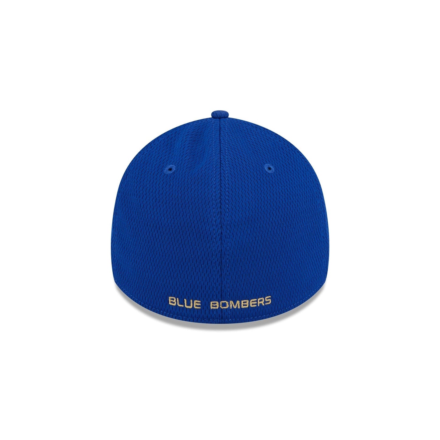 Winnipeg Blue Bombers Rear Wordmark 39THIRTY Stretch Fit Hat