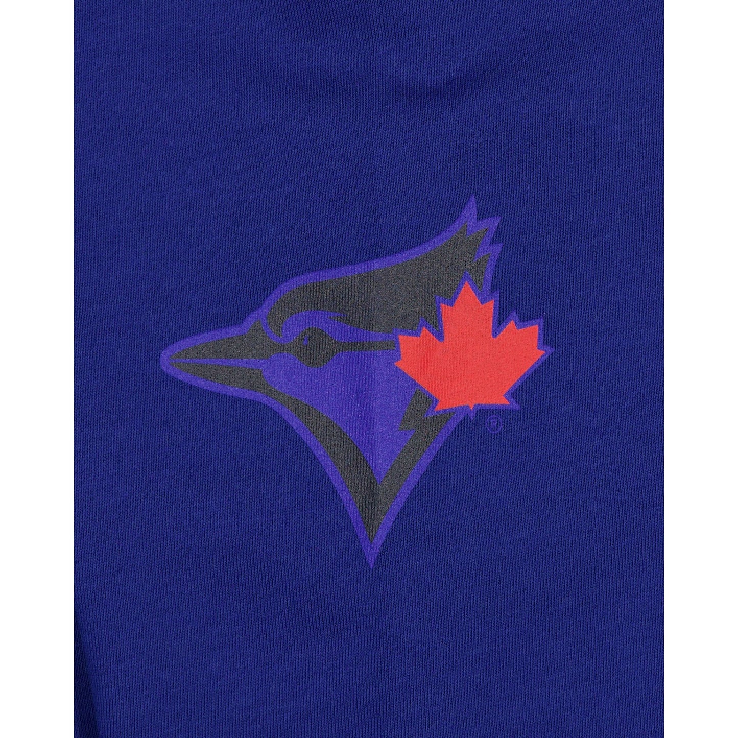 Toronto Blue Jays City Connect Blue Hoodie