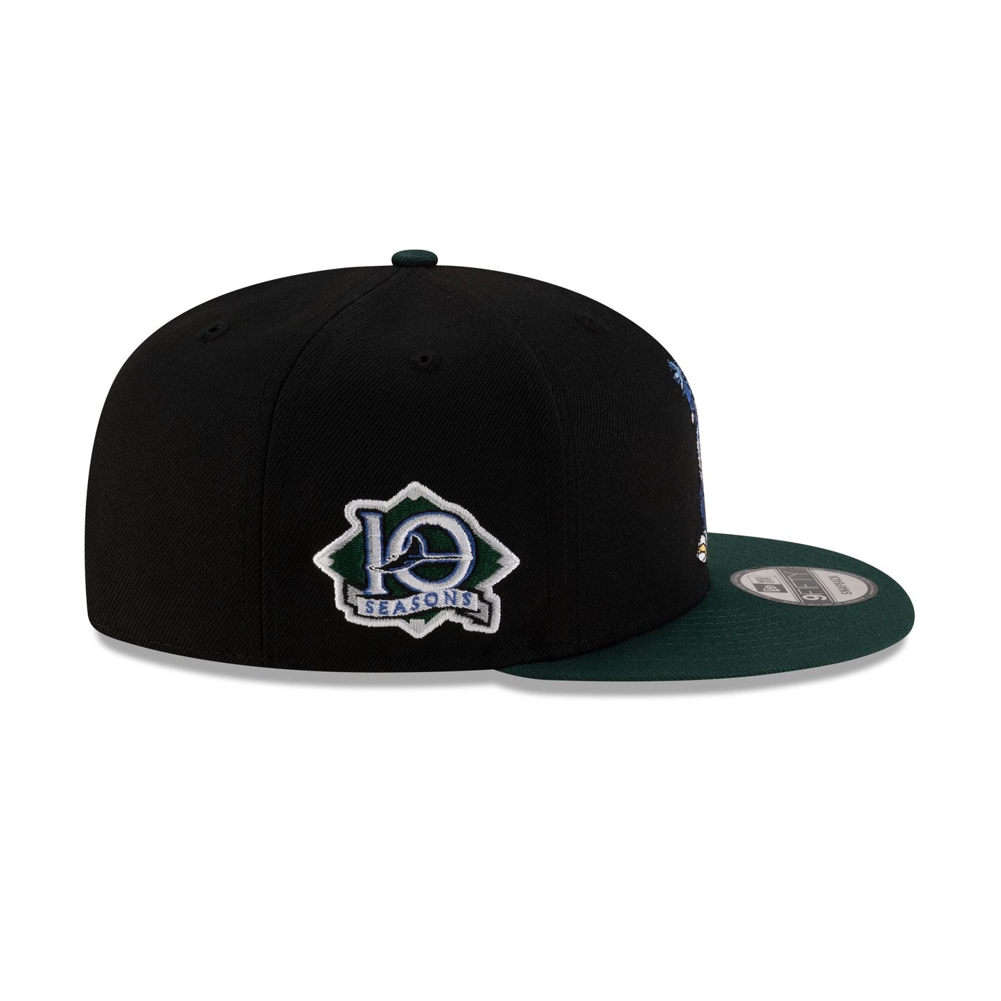 Tampa Bay Rays Mascot Black 9FIFTY Snapback Hat