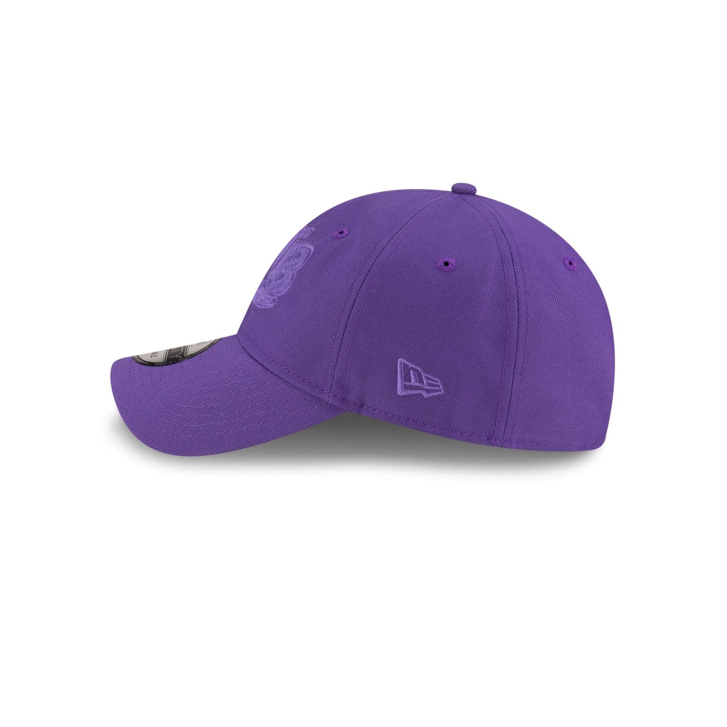 Tampa Bay Rays Varsity Purple 9TWENTY Adjustable Hat