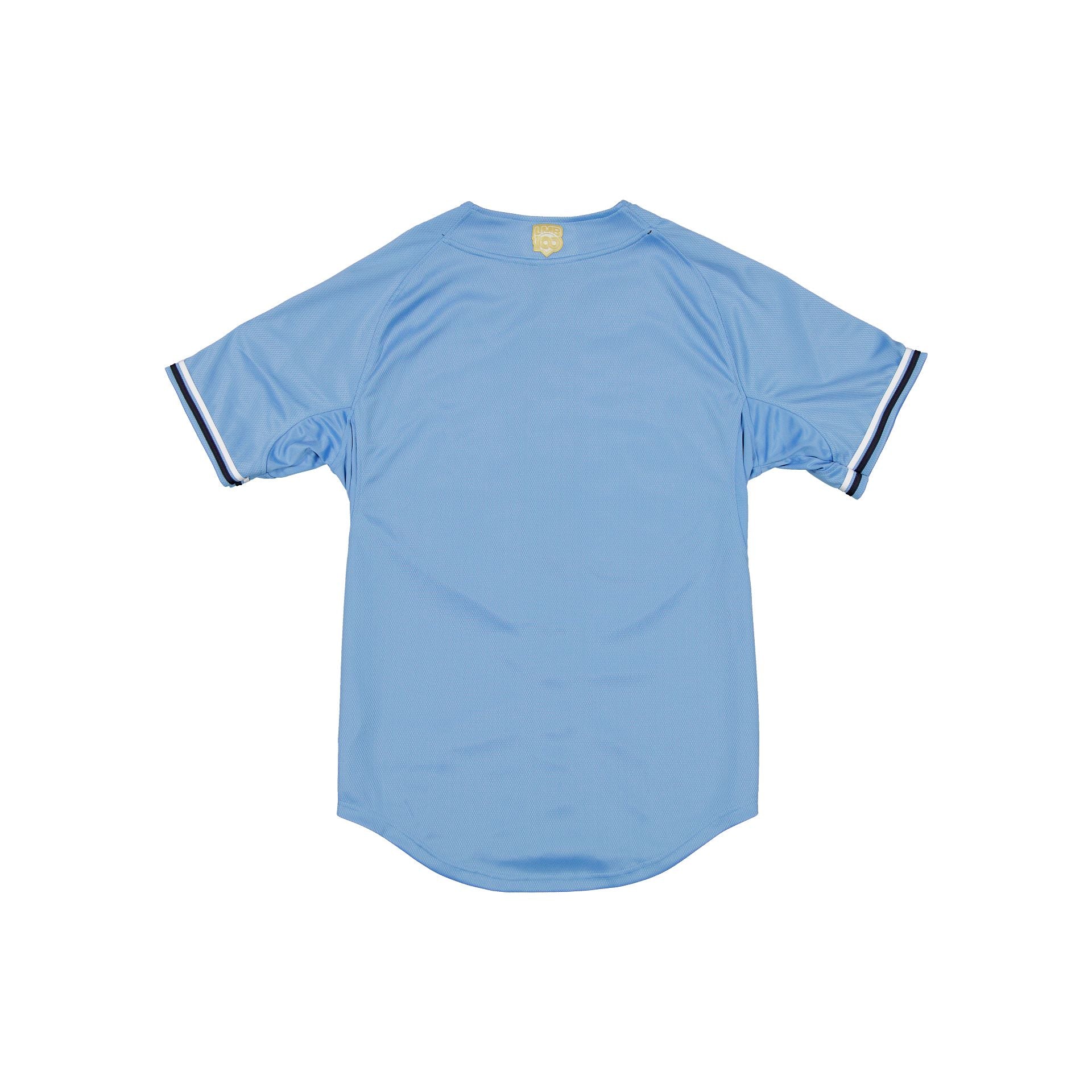 Tigres de Quintana Roo LMB 100th Anniversary Blue Alt Jersey