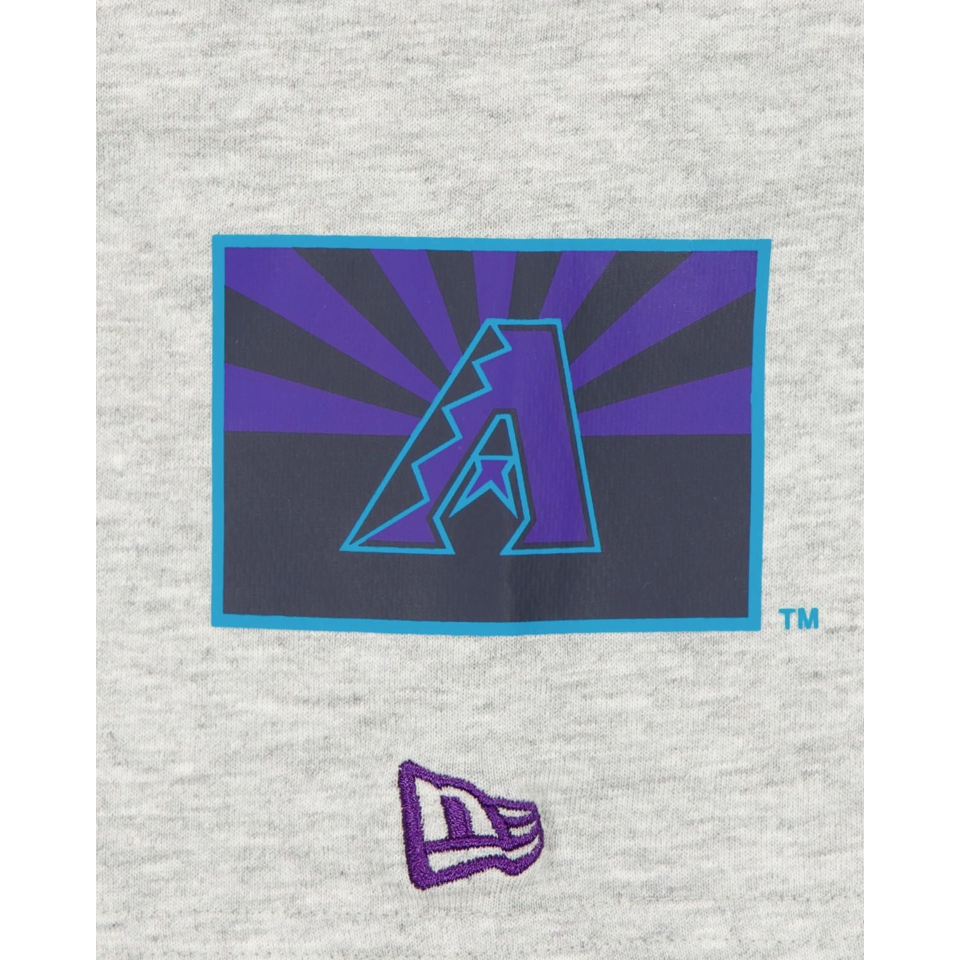 Arizona Diamondbacks City Connect Gray T-Shirt