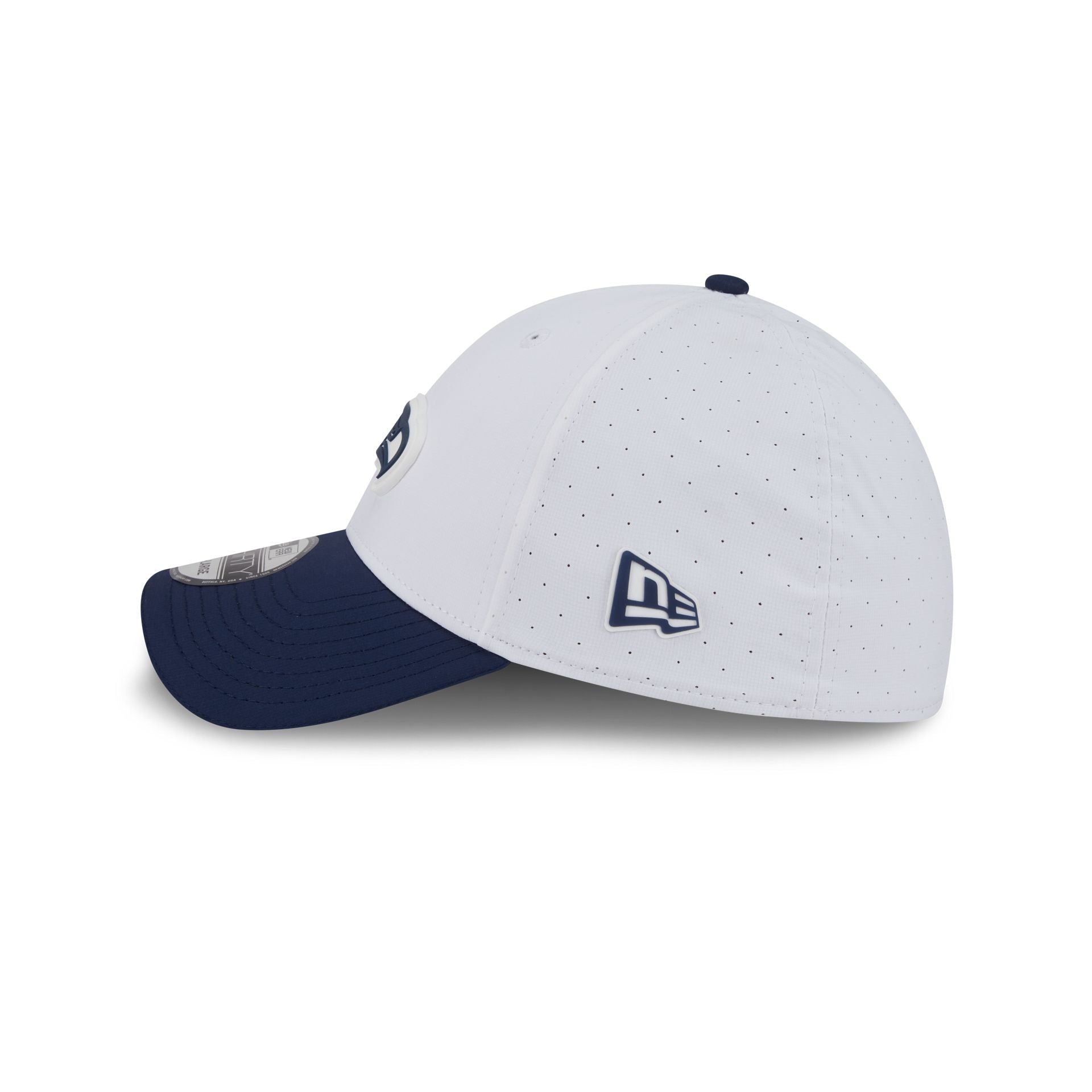 Seattle Seahawks 2025 Training 39THIRTY Stretch Fit Hat
