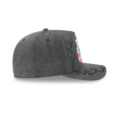 ThunderCats Gray 9FIFTY A-Frame Snapback Hat