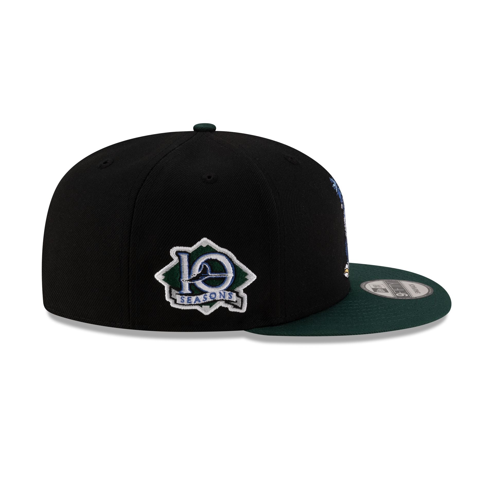 Tampa Bay Rays Mascot Black 9FIFTY Snapback Hat