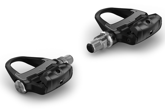 Garmin Rally RS200