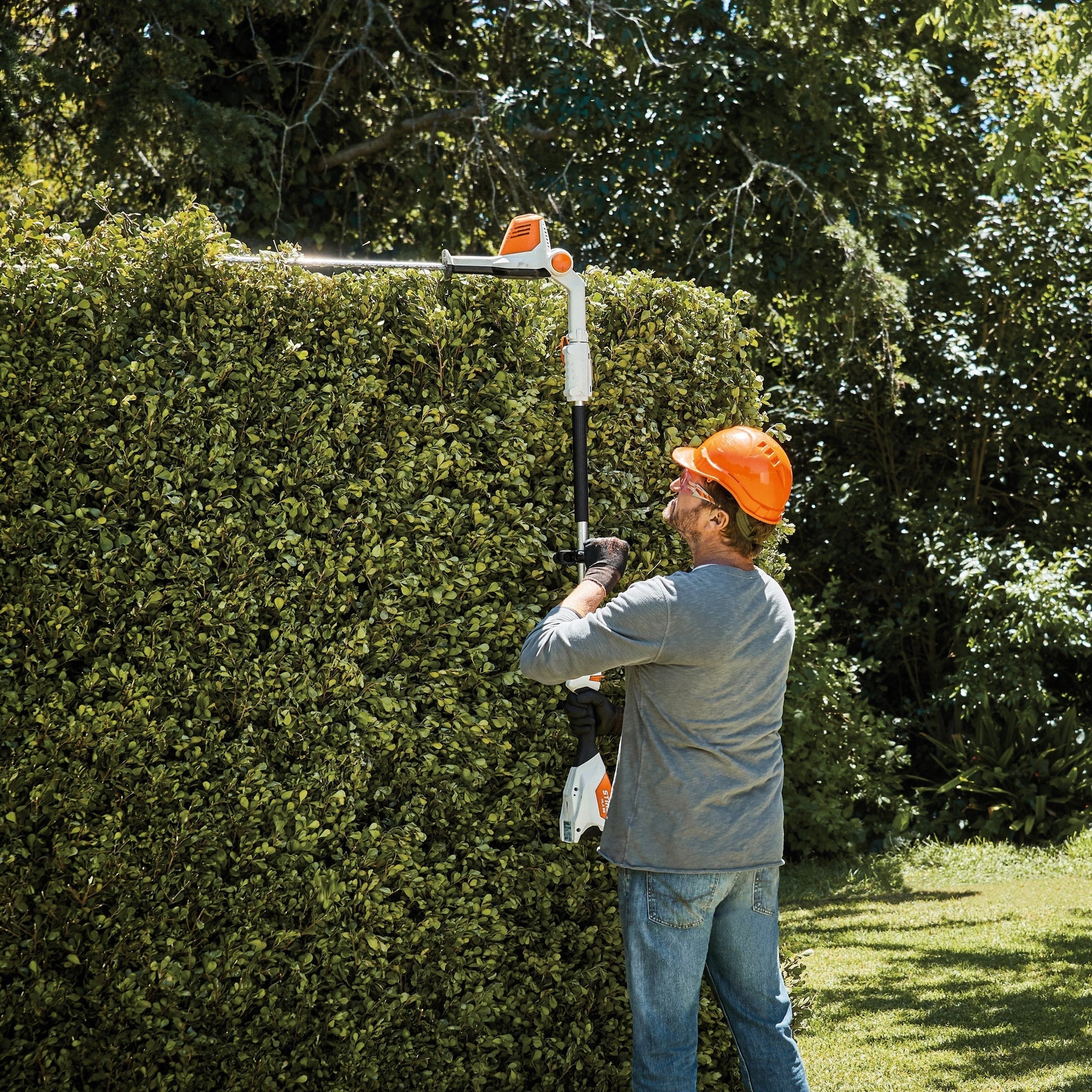 HLA 56 Cordless Long-reach Hedge Trimmer